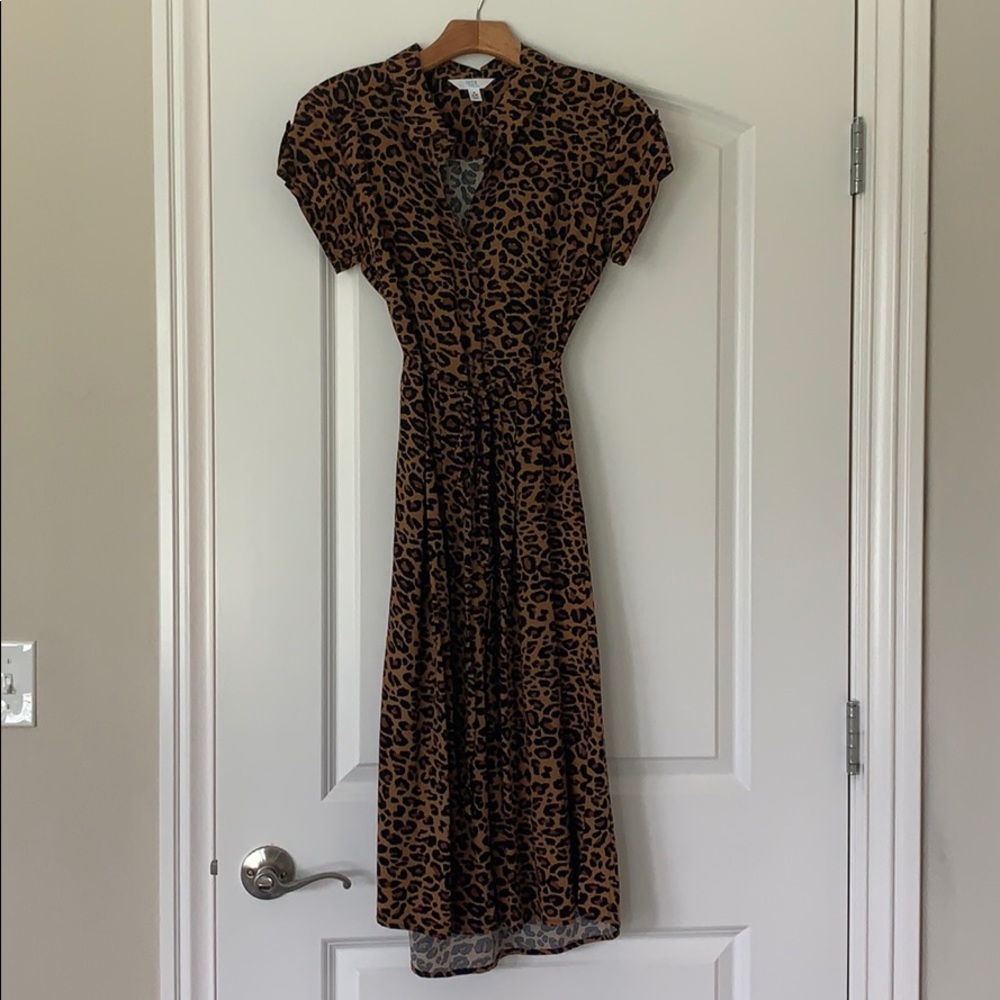 Leopard 🐆 Print Dress.